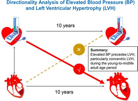 Left Ventricular Geometry, Blood Pressure, Arterial 